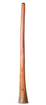 Tristan O'Meara Didgeridoo (TM515)
